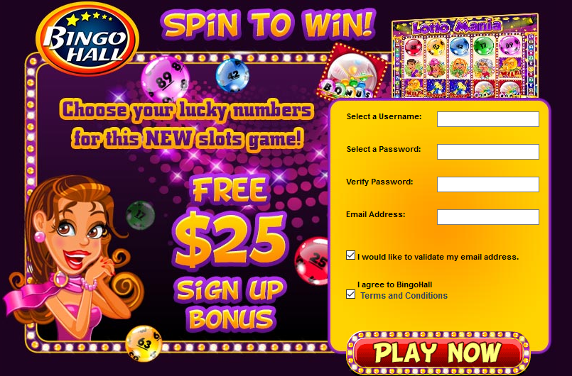Bingo Hall Lotto Mania